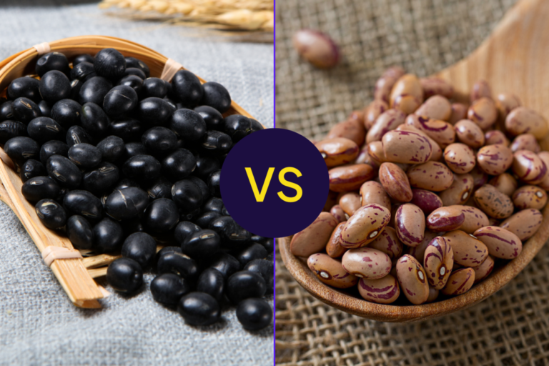 Black beans vs pinto beans: which one packs the ultimate protein and fiber punch for your diet?