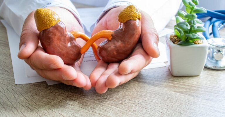 Silent kidney disease: warning signs you can’t afford to ignore