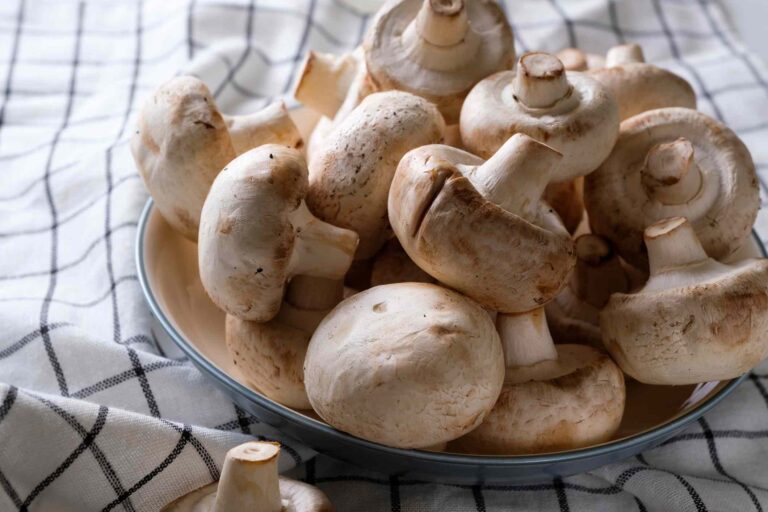 Unlock the incredible health secrets when you eat mushrooms every day!