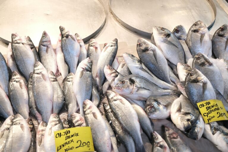 How tiny fish rich in calcium and vitamin b12 could save hundreds of thousands of lives: breakthrough heart disease prevention study