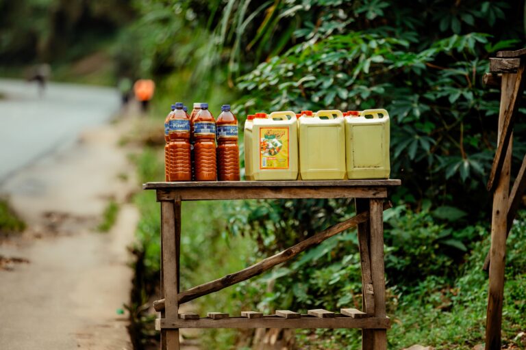 Palm oil: the truth about cholesterol, antioxidants and heart health